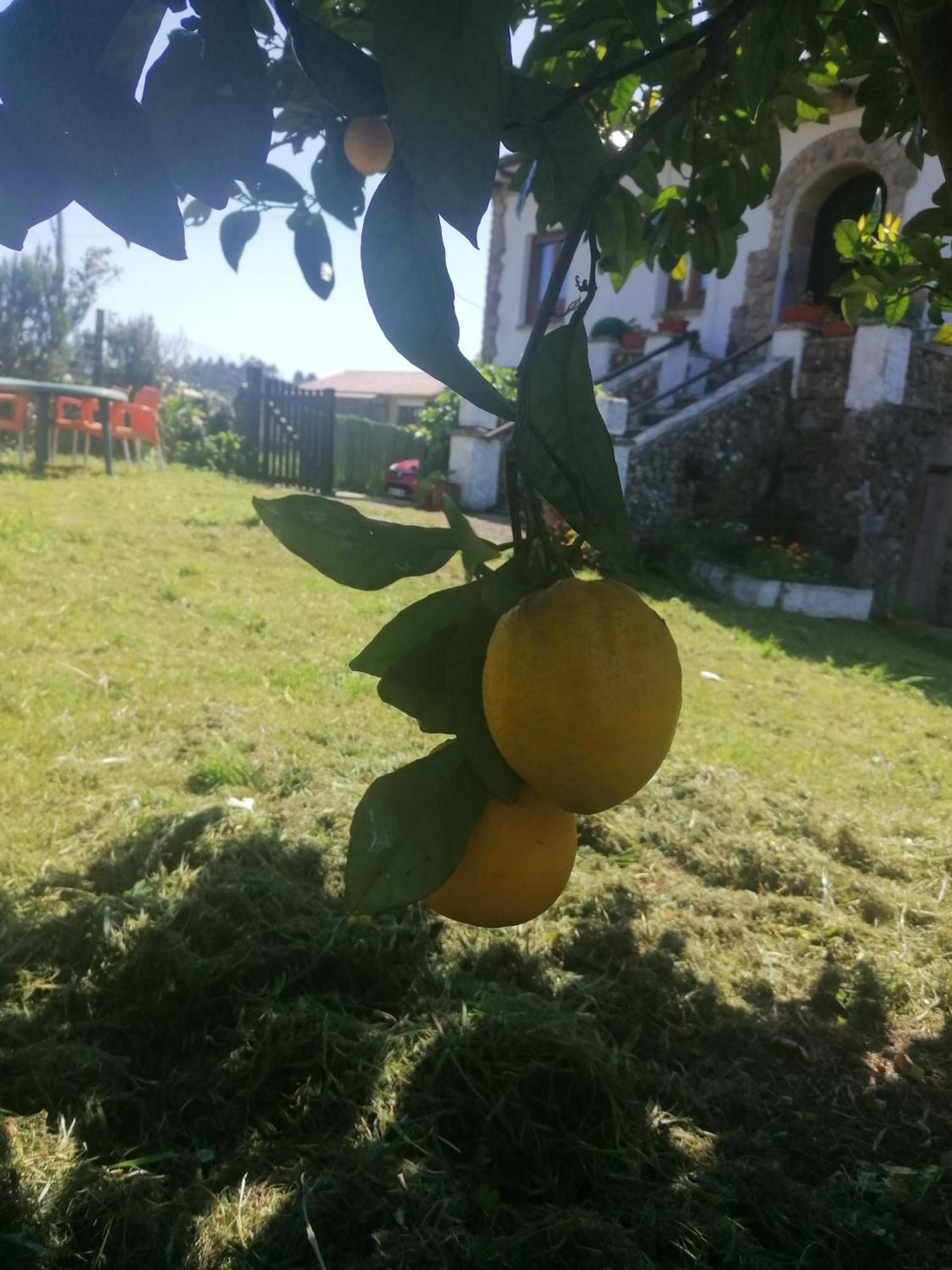 Apartamento En Casa Rural Con Amplio Jardin A 5 Min De La Playa Situacion Inmejorable La Riera  Esterno foto